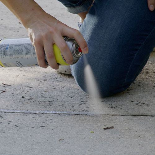 Alien Seal Spray customer ~Bob R.